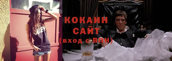 шишки Дубна