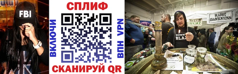Канабис план  Туран 